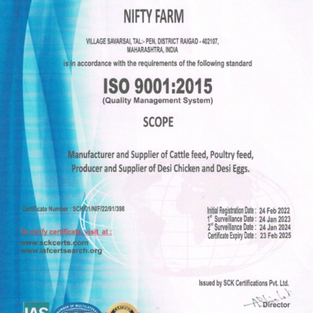 ISO 9001:2015 Certificate