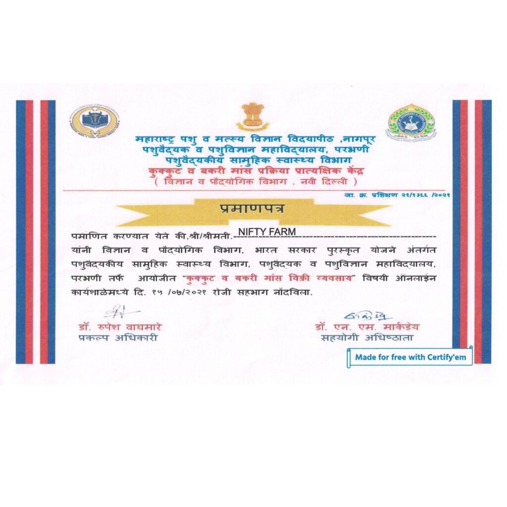 Training Certificate 2