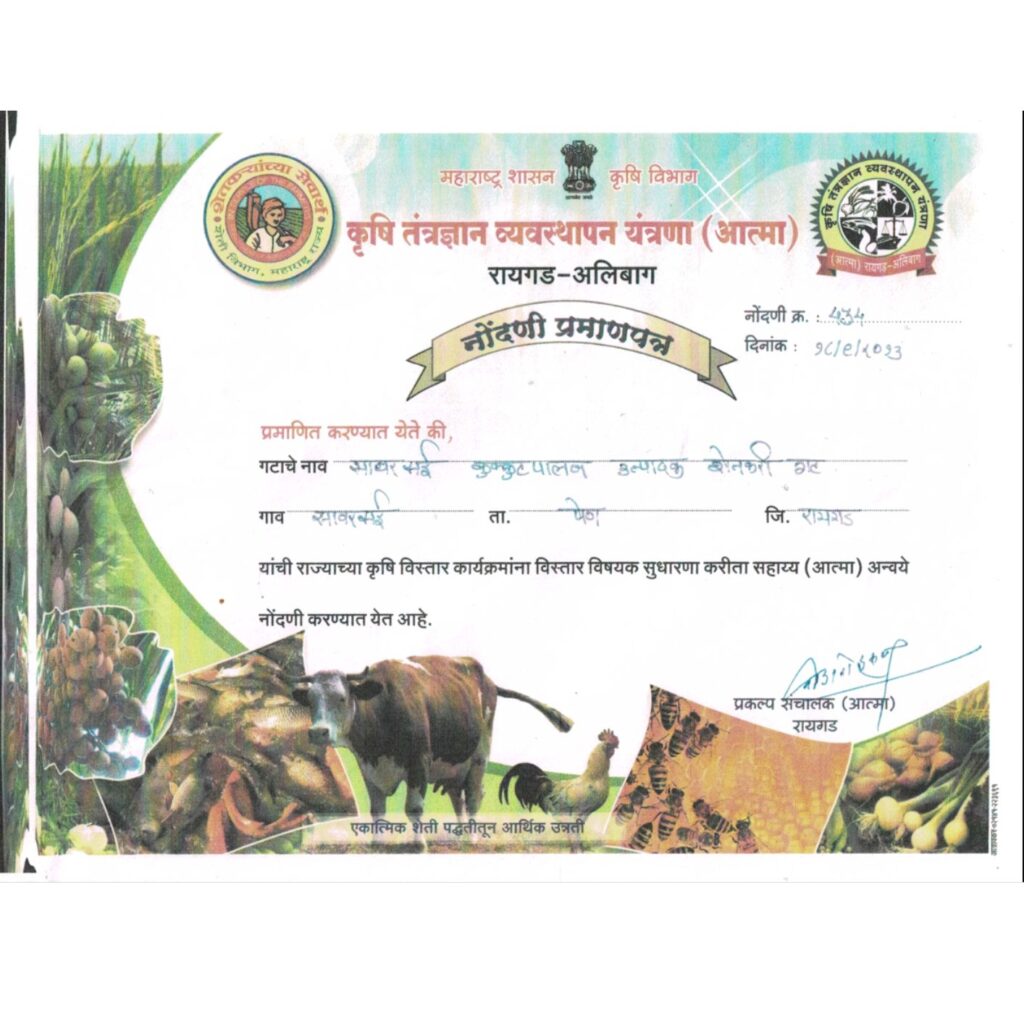 Training Certificate 4