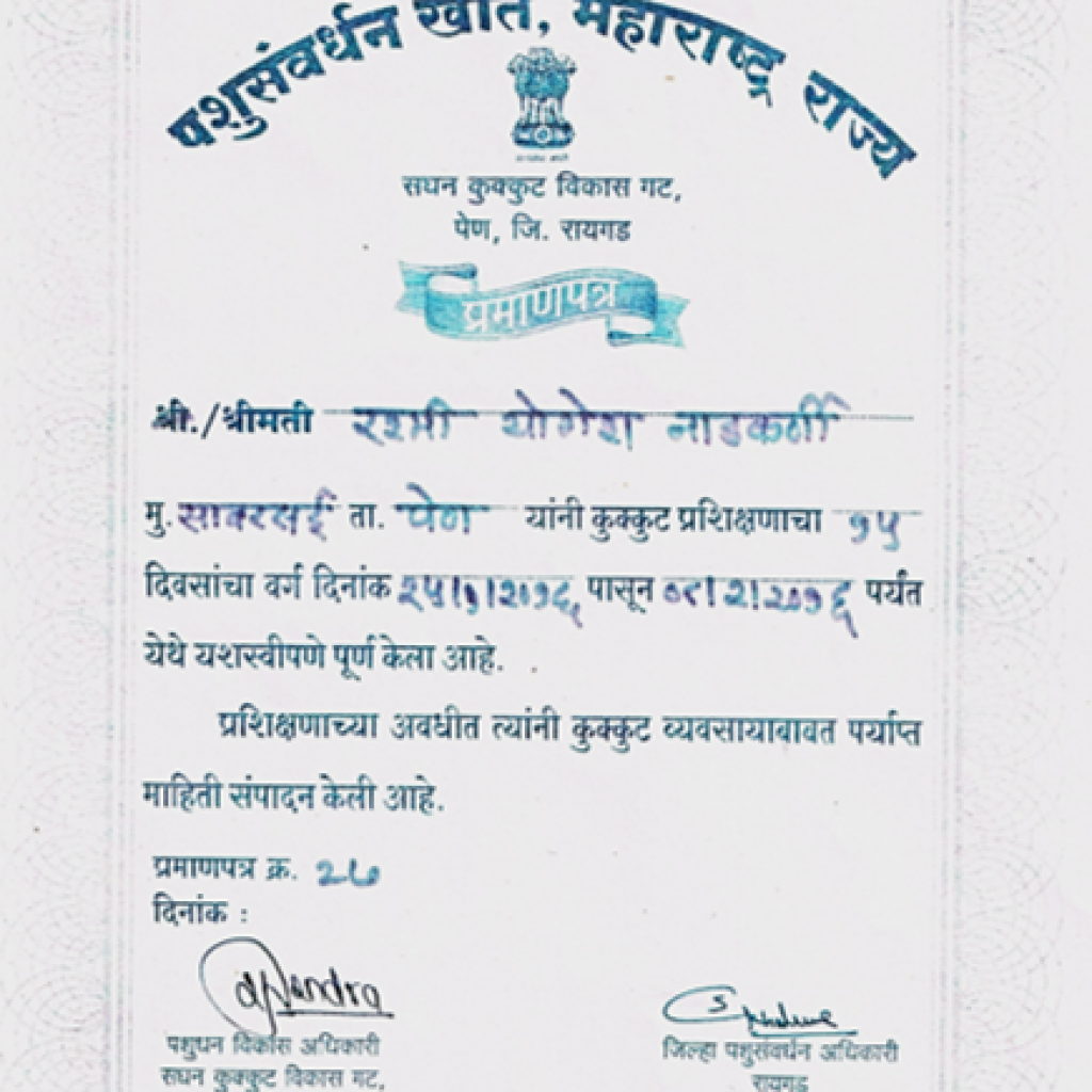 certificate 8